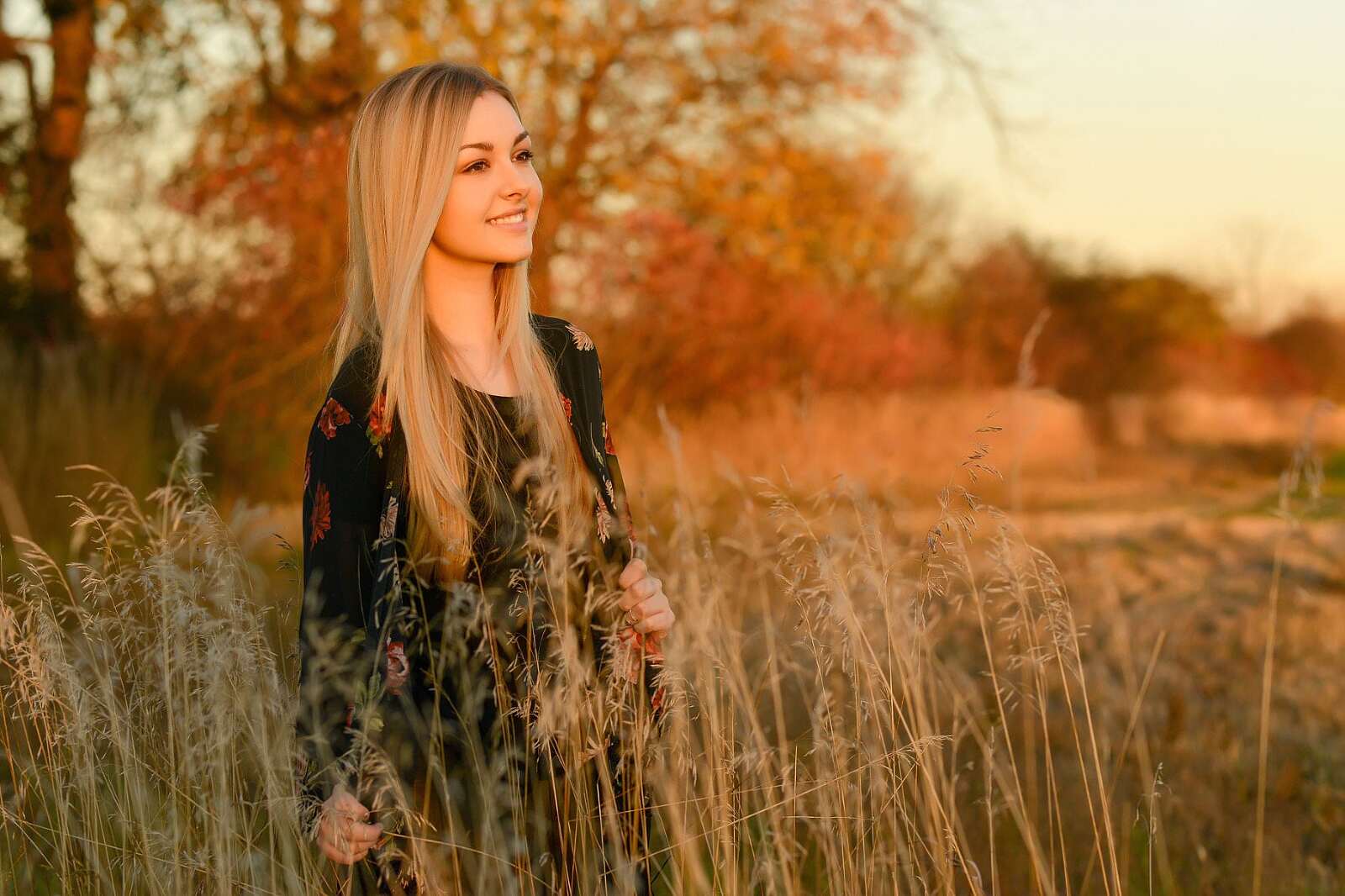 A high school senior poses in a field with golden light surrounding her