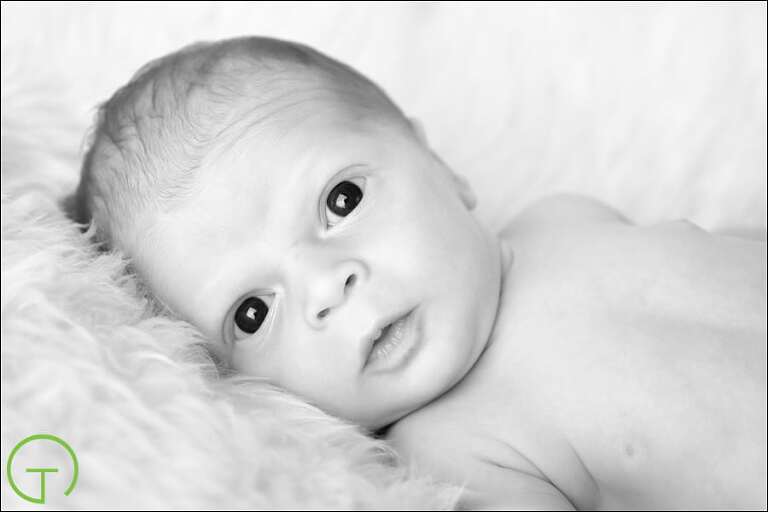 Ann-Arbor-Newborn-Portraits_02